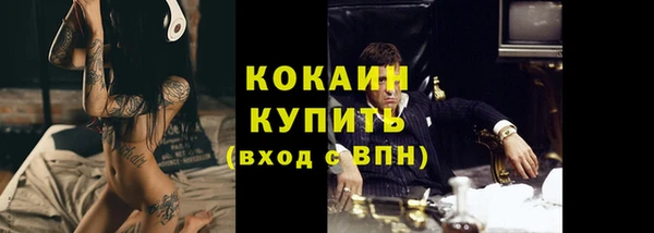 ПСИЛОЦИБИНОВЫЕ ГРИБЫ Горнозаводск