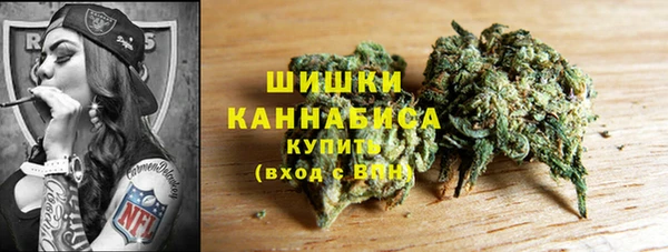 ПСИЛОЦИБИНОВЫЕ ГРИБЫ Горнозаводск