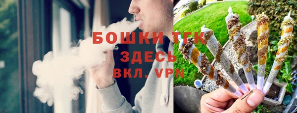 ПСИЛОЦИБИНОВЫЕ ГРИБЫ Горнозаводск