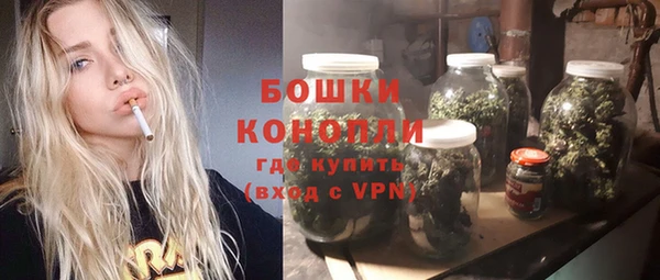 ПСИЛОЦИБИНОВЫЕ ГРИБЫ Горнозаводск