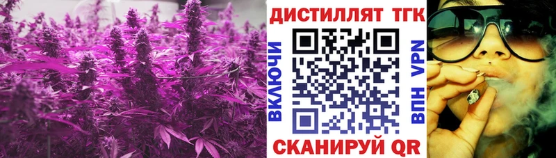 Купить где  Котельниково  ТГК концентрат 