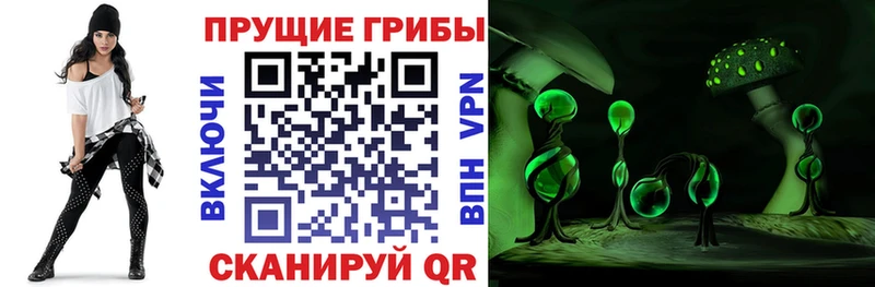 Купить  Котельниково  Галлюциногенные грибы GOLDEN TEACHER 